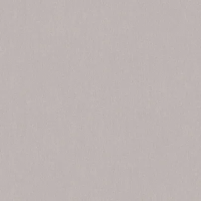 Obrázek produktu pro A.S. Creation | Art of Eden | 377032 | Vliestapete | Einfarbig | 10,05 m x 0,53 m | Grau