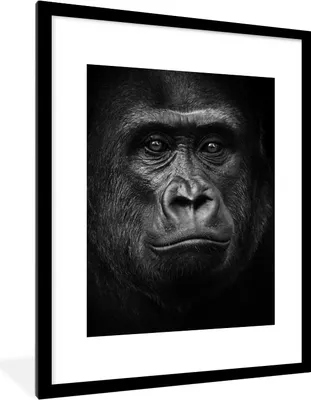 Produktbild von MuchoWow® Gerahmtes Poster Gorilla - Schwarz - Weiß - Tiere - Porträt 60x80 cm - Poster mit Schwarzem Bilderrahmen Wandposter Rahmen Foto Bilder - Wohnzimmer - Dekorationen - Prämie
