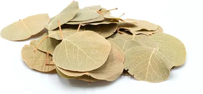 Image de Feuilles de pièces BioCoin Leafs 15g