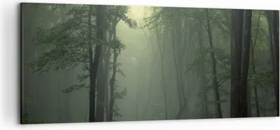 Produktbild von Bild auf Leinwand - Leinwandbild - Wald Nebel Baum - 120x50cm - Wand Bild - Wanddeko - Wandbilder - Leinwanddruck - Bilder - Kunstdruck - Wanddekoration - Leinwand bilder - Wandkunst - AB120x50-3543