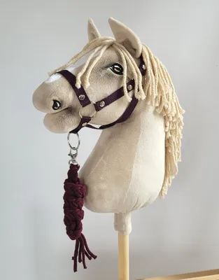 Produktbild von Hobby Horse A3 Halfterset mit Plommonfarbener Halfter und Schnur