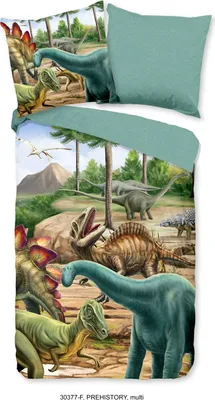 Produktbild von Good Morning Flanell-Bettwäsche-Garnitur Prehistory Farbe Multi Größe 135x200+80x80