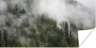 Produktbild von MuchoWow® Poster Wald - Nebel - Berg 40x20 cm - Poster für die Wand - Poster Schlafzimmer