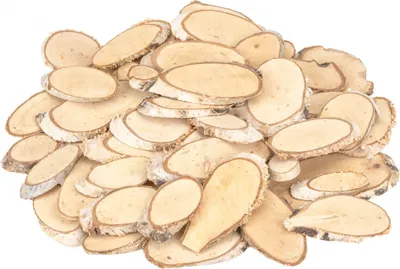 Produktbild von Birkenscheiben oval 50 Stück, ca. 5 bis 10cm lang, 3-5 cm breit