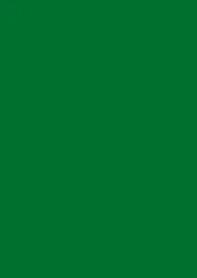 Image de Papier universel vert foncé DIN A4 160g