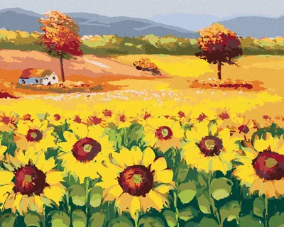 Produktbild von Zuty - Malen nach Zahlen - WUNDERSCHÖNES FELD VOLLER SONNENBLUMEN, 40x50 cm, mit Keilrahmen (bereits gespannt)