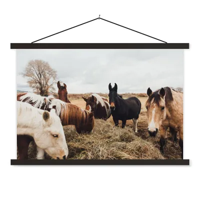 Produktbild von MuchoWow® Textilposter Tiere - Pferd 60x40 cm mit schwarzem Rahmen - Hölzernes