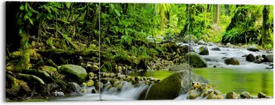 Produktbild von Bild auf Leinwand - Leinwandbild - Stream Wald Natur - 150x50cm - Wand Bild - Wanddeko - Wandbilder - Leinwanddruck - Bilder - Kunstdruck - Wanddekoration - Leinwand bilder - Wandkunst - CA150x50-0174
