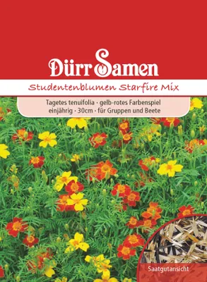 Produktbild von Studentenblume Starfire Mix | Studentenblumensamen von Dürr Samen