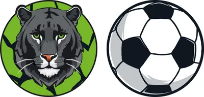 Produktbild von Schneiders Schulranzen-Zubehör Patches Set 2 teilig Panther + Soccerball mehrfarbig