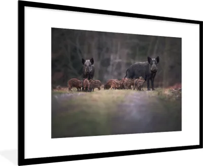 Produktbild von MuchoWow® MuchoWow® Gerahmtes Poster Tier - Wildschwein - Wald 90x60 cm - Poster mit zchwarzem Bilderrahmen - Wanddekoration - Fotos