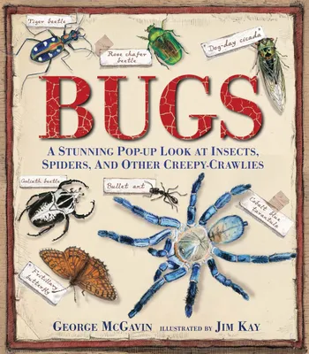 Image de Bugs