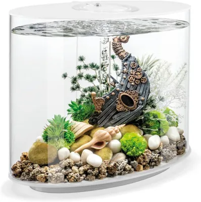 Aquarium Komplettset 30 L, Weiß, mit Licht und Filter