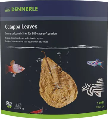 Produktbild von Dennerle Catappa Leaves - Seemandelbaumblätter, natüliche Wasserpflege und Nahrungsergänzung fürs Aquarium