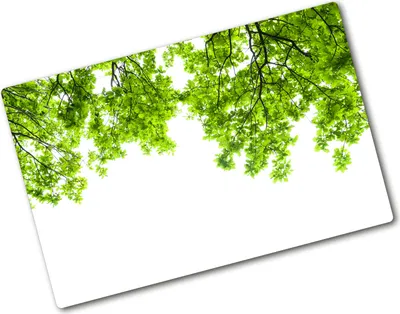 Produktbild von Tulup Glas Herdabdeckplatte - 80x52 cm - Glaskeramikkochfeld-Abdeckung Spritzschutz Glasabdeckplatte - Einteilig - Blumen & Pflanzen - Eichenblätter - Grün