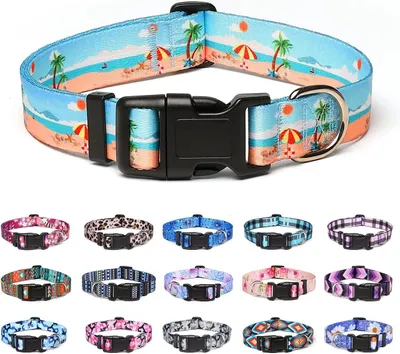 Produktbild von Hundehalsband M, Nylon, Verstellbar, Komfortabel für kleine und große Hunde