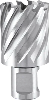 Produktbild von Ruko Kernbohrer Durchmesser 32mm HSS-Co Länge 30mm Weldon - 108232E