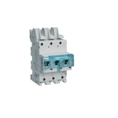 Image de Hager Commutateur SLS 3P E-80A,pour SS HTS380E