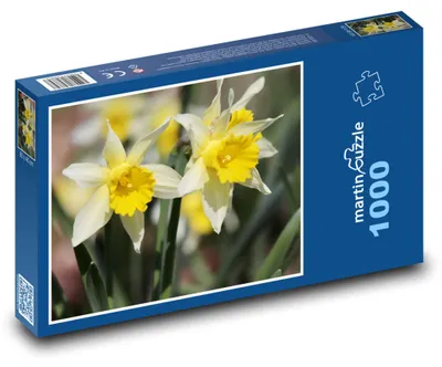 Obrázek produktu pro martinpuzzle - Puzzle 1000 - Narcisy