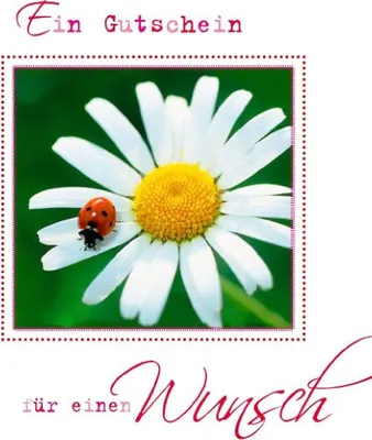 Immagine prodotto di Carta regalo ARTEBENE con margherita in rilievo e motivo floreale