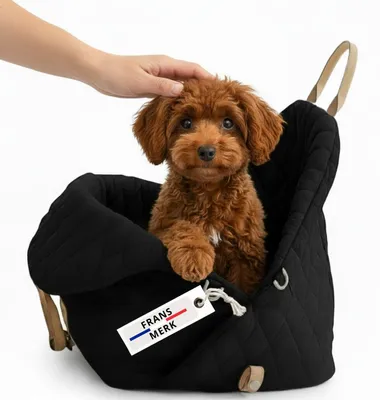 Hundetransporttasche bis 3 kg, 45x22x34 cm, schwarz