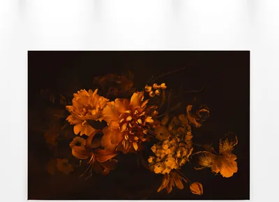 Produktbild von Blume Leinwandbild Orange Schwarz 90x60 DD120254 Keilrahmenbild Wandbild Floral