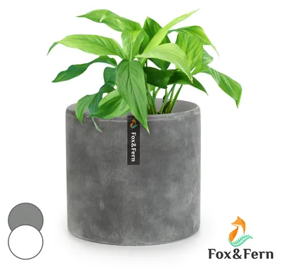 Zdjęcie produktu dla Fox & FernVenlo, doniczka, Polystone, wewnętrzna/ogrodowa, 3 rozmiary