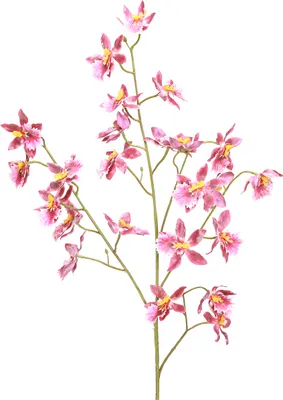 Produktbild von Oncidium Künstliche Orchideen Pink Violett 93cm 2St Deko Blüten, 2 Stück