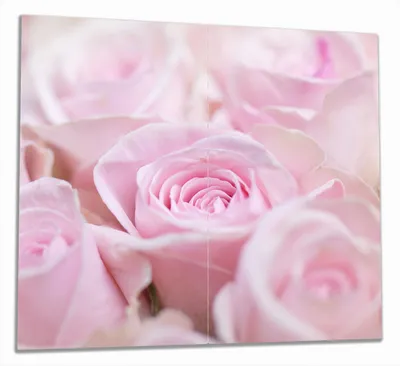 Produktbild von Wallario Herdabdeckplatte aus Glas, Größe 60 x 52 cm 2-teilig, Motiv Rosafarbene Rosenblüten im Strauß