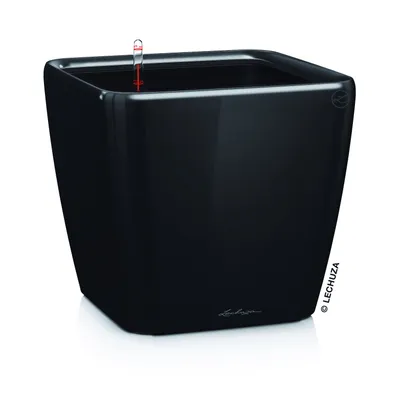 Produktbild von LECHUZA-Pflanzgefäß QUADRO Premium LS 28 Schwarz Hochglanz | Pflanzgefäß mit Bewässerungssystem | Hochglanz-Oberfläche | 28 x 28 x 26 cm | 16149
