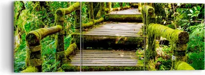Produktbild von Bild auf Leinwand - Leinwandbild - Asien natur park brücke - 90x30cm - Wand Bild - Wanddeko - Leinwanddruck - Bilder - Kunstdruck - Wanddekoration - Leinwand bilder - Wandkunst - CA90x30-2417