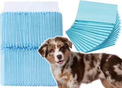 Immagine prodotto di Tappetini igienici assorbenti per animali 45 cm x 60 cm, 50 pezzi