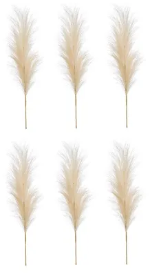 Produktbild von 6er Setkünstliches Pampasgras Federzweig creme H. 100cm Emerald Kunstblumen
