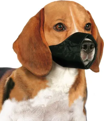 Immagine prodotto di Museruola per cani Karlie in nylon M, circonferenza museruola 21 cm
