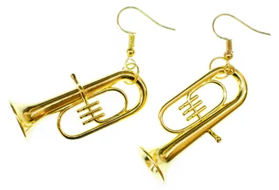 Produktbild von Tuba Ohrringe Tenorhorn Miniblings Orchester Jazz Tubas Tubist mit Box vergoldet