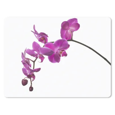 Produktbild von MuchoWow® Mauspad Mousepad Orchidee vor weißem Hintergrund 23x19 cm - Mousepads - Maus Mat - Pad - Mausunterlage - Schreibtischunterlage - Mauspad
