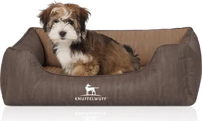 Produktbild von Cuddlewuff Orthopädisches Hundebett Outlander aus lasergepolstertem Kunstleder M-L 85 x 63cm