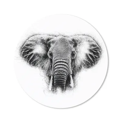 Produktbild von MuchoWow® Mauspad Mousepad Elefant - Tiere - Schwarz - Weiß 20x20 cm - Mousepads - Maus Mat - Pad - Mausunterlage - Schreibtischmatte
