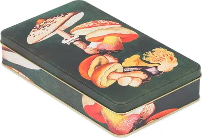 Produktbild von Blechdose Metalldose mit Deckel, Nostalgic Art Dose Box, Keksdose, Vorratsdose für Kleinigkeiten – Kollektion Herbarium (Pilze)