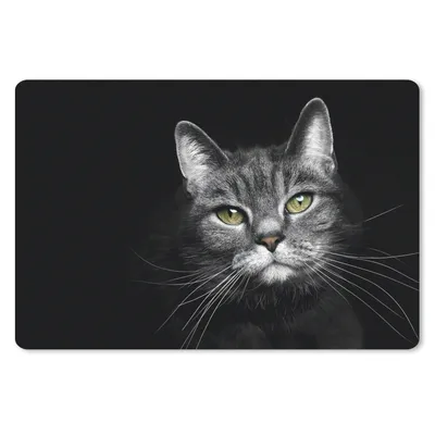 Produktbild von MuchoWow® Mauspad Mousepad Haustiere - Katze - Tiere - Schwarz - Weiß 27x18 cm - Mousepads - Maus Mat - Pad - Mausunterlage - Büroartikel - Desk Matten