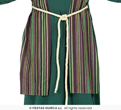 A close-up view of a child's costume, focusing on the torso area.
