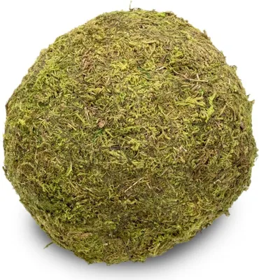 Produktbild von Moos-Ball mit Durchmessern von 8, 10, 15, und 20cm zur Auswahl | Moos-Kugel, Größe:Ø 20 cm