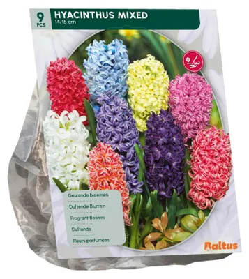 Productafbeelding van Hyacinth mix 9 stuks bloembollen Baltus