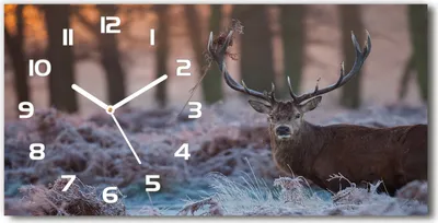 Produktbild von Wanduhr aus Glas – 60x30 cm - Glasbild - Glasuhr - Gehärtetes Glas - weisse-zeiger - Deer bei Sonnenaufgang