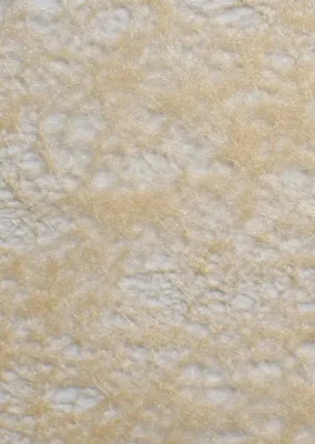 Produktbild von Vliesband für Bastel- und Dekorationszwecke, Beige, 60 mm breit, 10 m lang