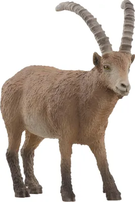 Immagine prodotto di Schleich Wild Life 14873 Stambecco