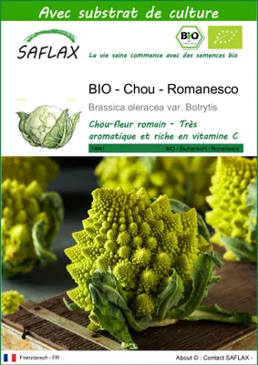 Image de SAFLAX  -- Chou - Romanesco - 50 graines - Avec substrat - Brassica
