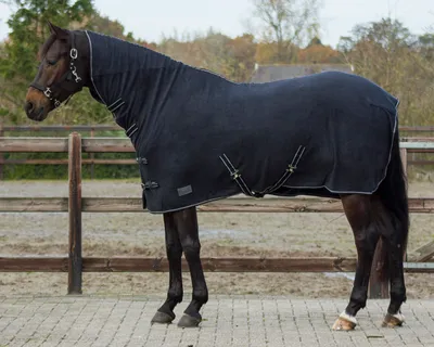 Produktbild von QHP Fleece Decke Basic mit Halsteil