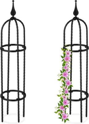 Immagine prodotto di Supporto per piante rampicanti set di 2 - altezza 70 cm - acciaio plastica - per supporto piante rampicanti da giardino - rose nero scala per piante rampicanti