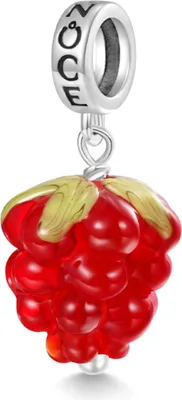 Produktbild von Gnoce Charm Anhänger Himbeere HYC178 Silber